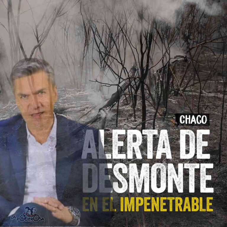Mafia del desmonte: ambientalistas responden con nueva denuncia contra un ministro de Zdero