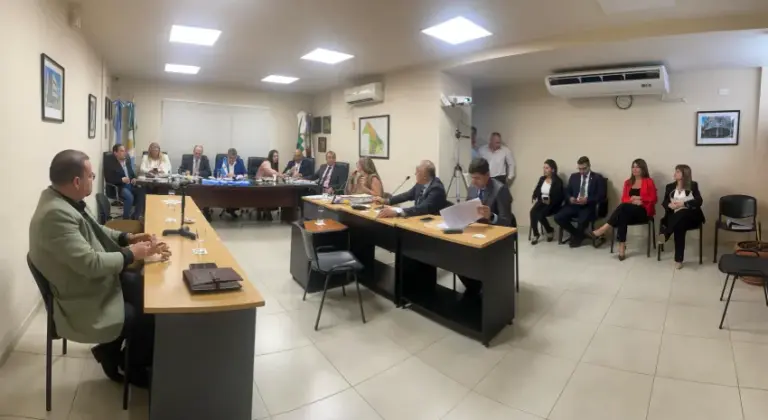 EN EL CONSEJO DE LA MAGISTRATURA Jury a la jueza Teresita Fanta: este martes, la sentencia