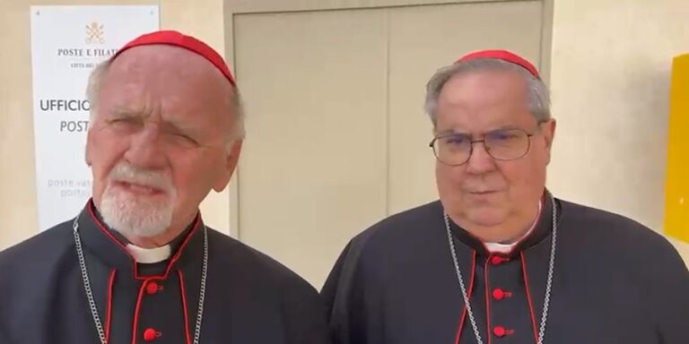 La mirada de los cardenales Bokalic y Rossi tras el funeral: “El papa Francisco nos dejó muy clarito hacia dónde debemos caminar”