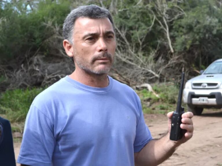 Mafia del desmonte: ordenan revisar la eximición de prisión del empresario Nardelli