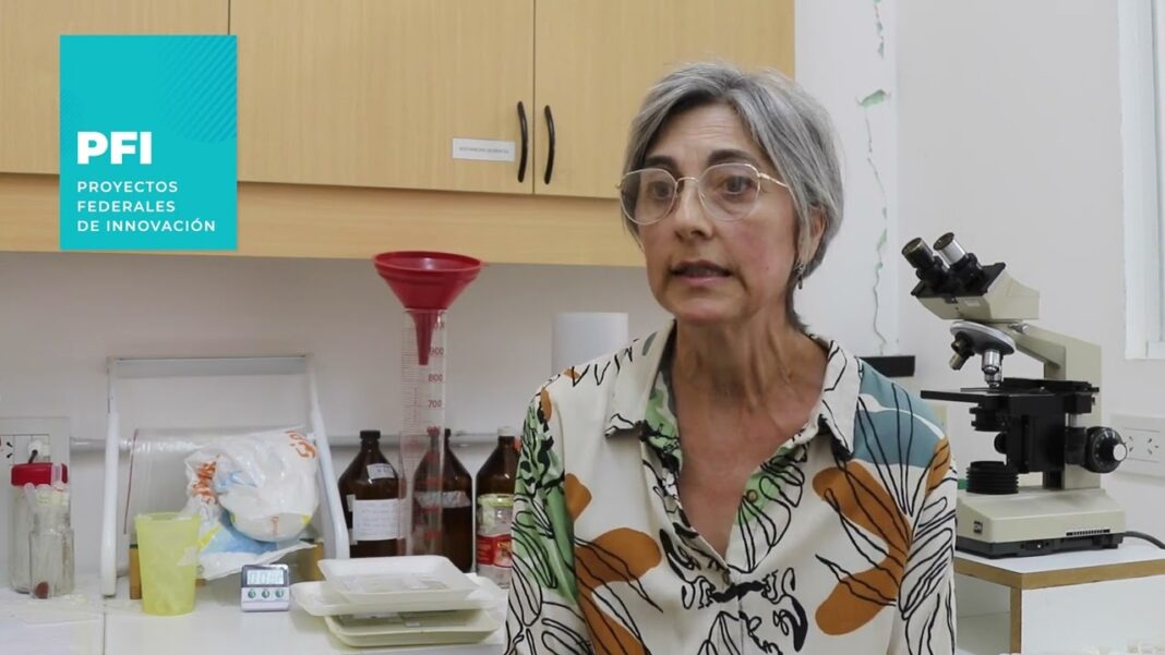 Marina Stein: “Tenemos docentes pobres e indigentes”