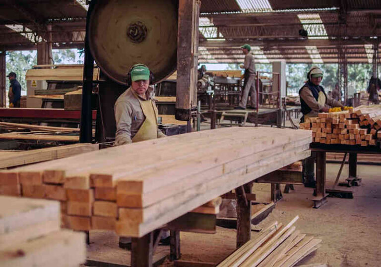 El 61% de los trabajadores privados formales del Chaco cobran menos que una Canasta Básica Total