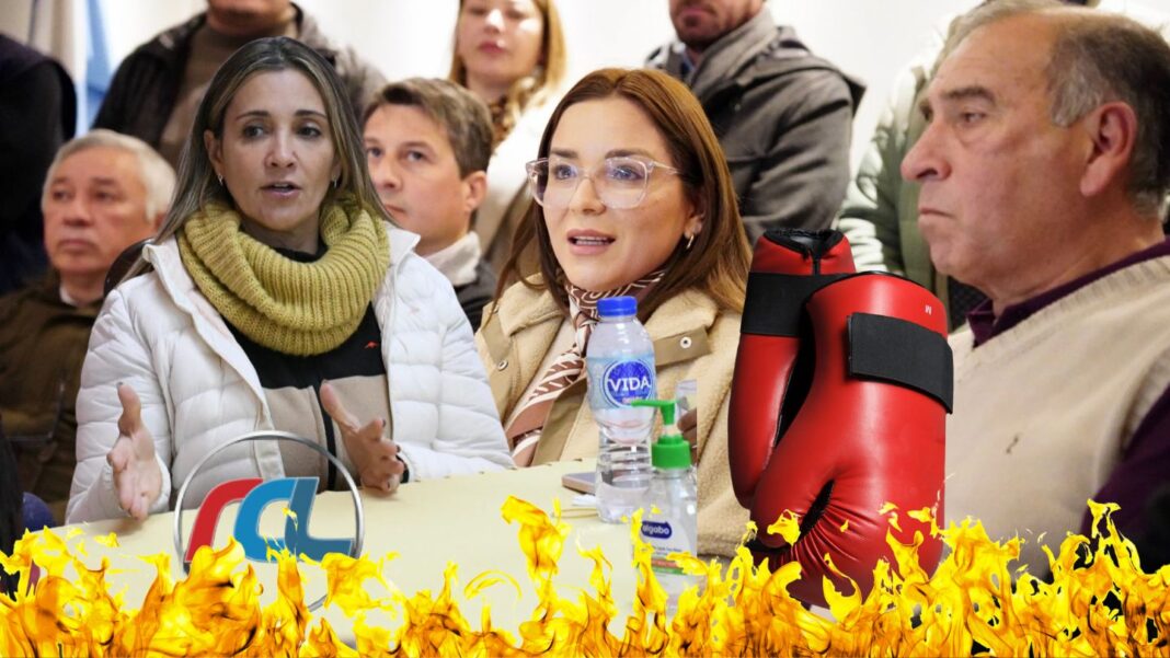 A LA PUTA TU UNION! Panzardi contra Magda Ayala: “Es una mentirosa y no representa a nadie”