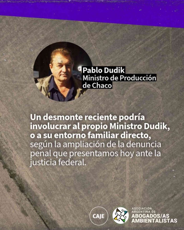 INFO BOMBA: OSCAR DUDIK ¿El zorro al cuidado del gallinero parte II?