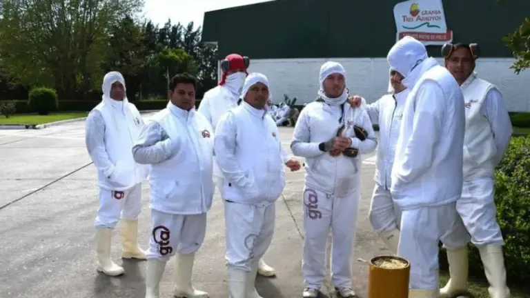 Más de 300 operarios paralizan una planta de Granja Tres Arroyos por deudas salariales