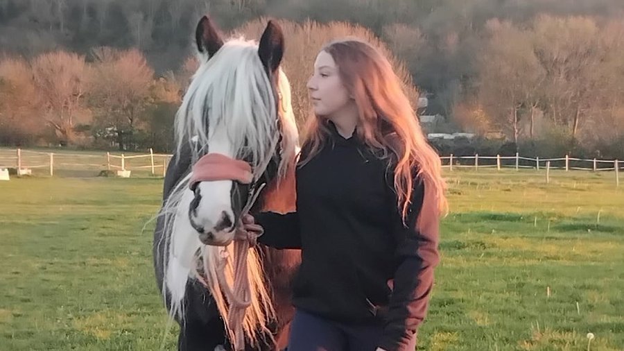 Una adolescente de 13 años murió frente a su madre tras recibir una patada de un caballo en la cabeza