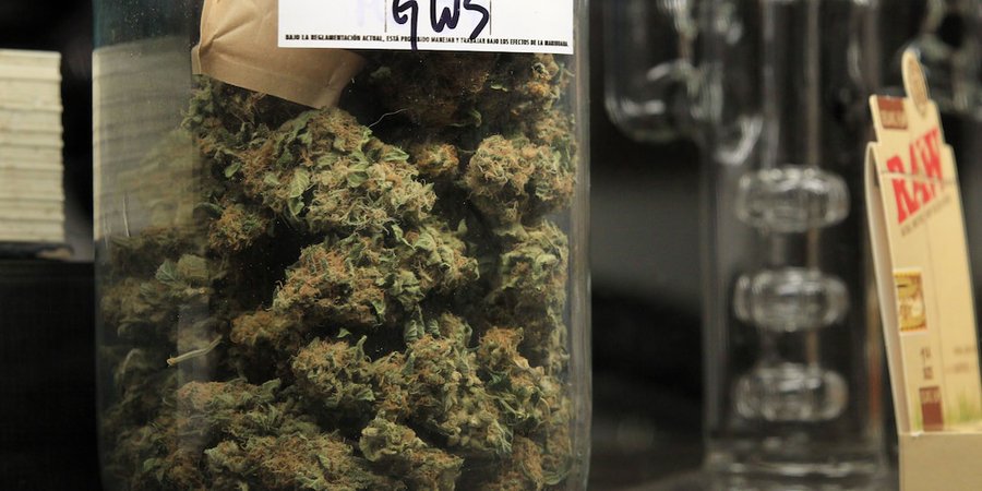 Uruguay busca un mecanismo para vender marihuana legal a turistas, estudiantes o trabajadores extranjeros