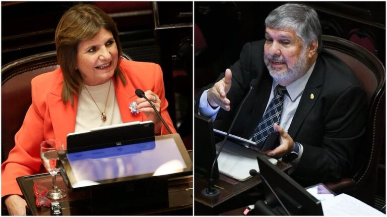 El fuerte cruce entre Patricia Bullrich y José Mayans en el debate por la reforma laboral: “Callate la boca”