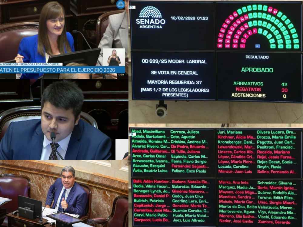 Reforma laboral: Con el respaldo de los senadores libertarios del Chaco, Milei logró la media sanción