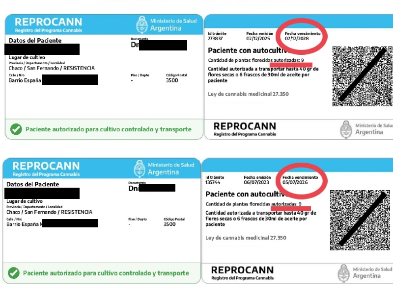 Allanamiento antidrogas irregular en Resistencia: los inquilinos tenían autorización para cultivar cannabis