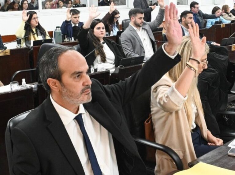 Diputados oficialistas presentaron un insólito proyecto para quejarse del “hostigamiento” opositor a Zdero