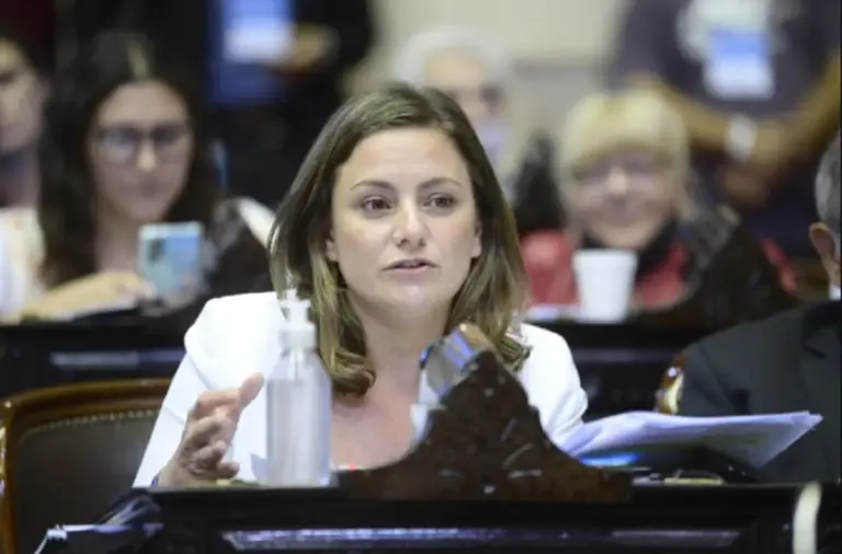 «Miente descaradamente»: Vanesa Siley cruzó a Adrián Ravier y comparó el gobierno de Milei con el de Macri